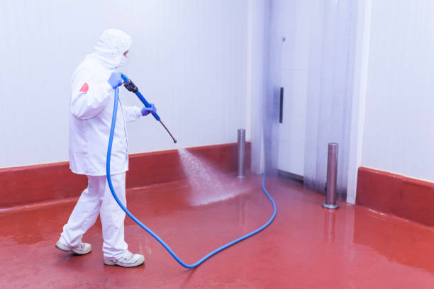 Professional Pressure Washing in New Deal, TX